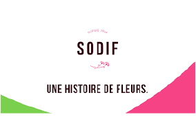 Logo-Sodif